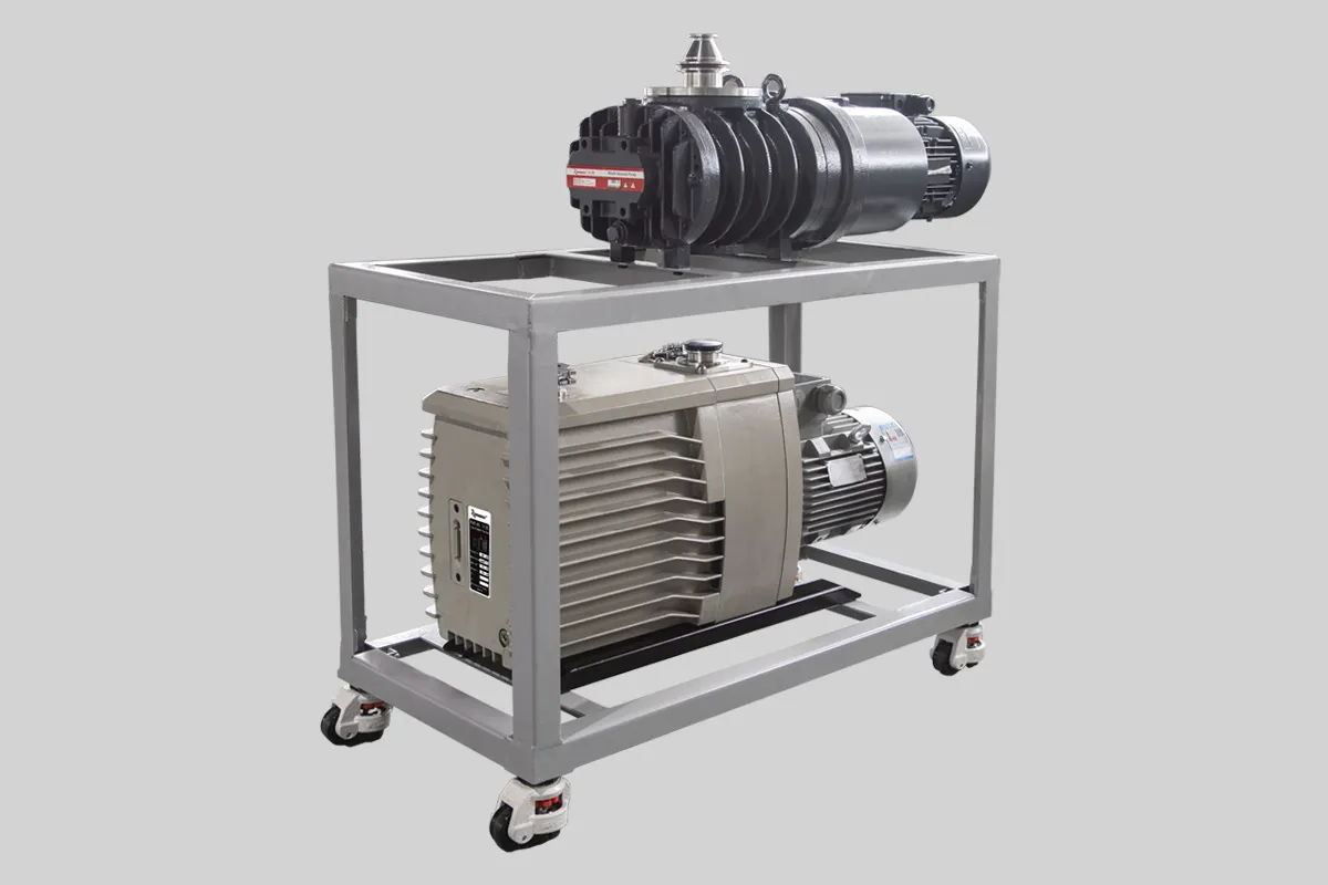 vacuum system primary pump