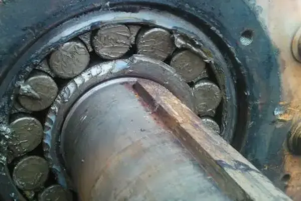 bearings roots pump noise