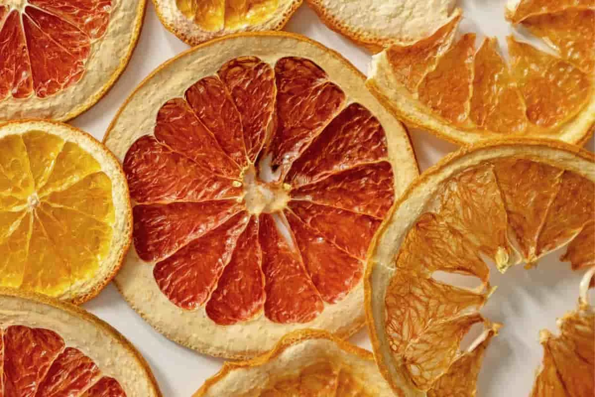 vacuum freeze drying